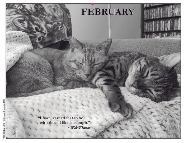 2024 Cat Lovers for LGBTQA+ Rights – Cat Lovers Calendar