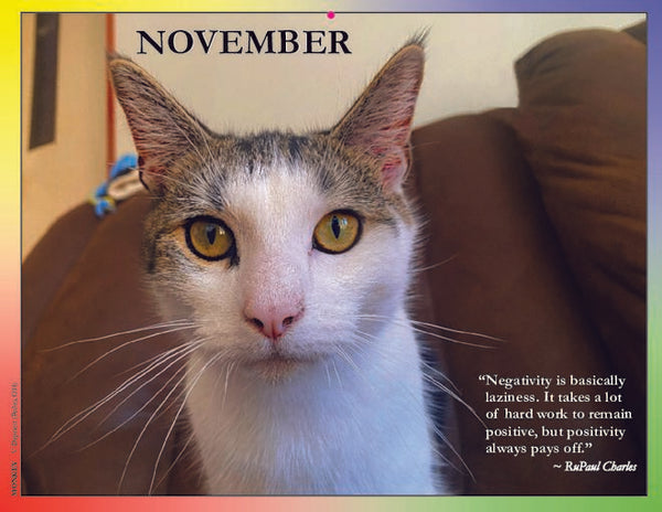 2024 Cat Lovers for LGBTQA+ Rights – Cat Lovers Calendar